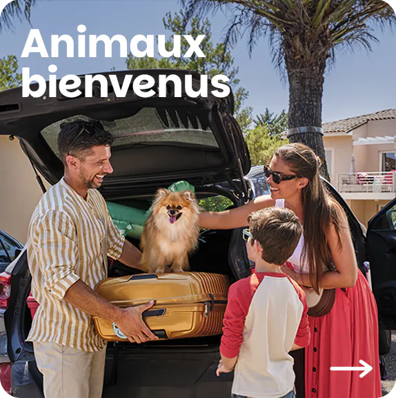Animaux bienvenus