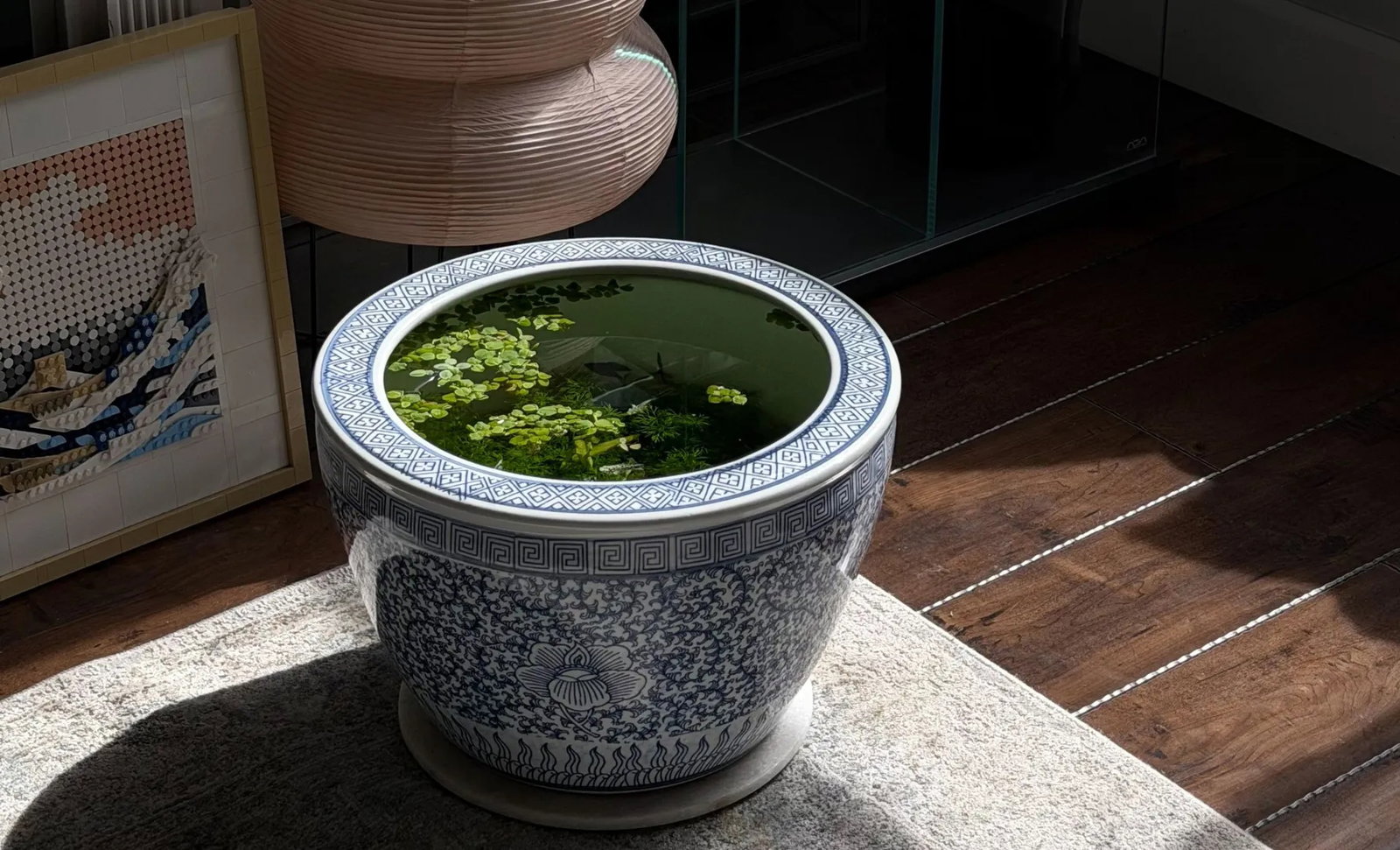 Indoor pond