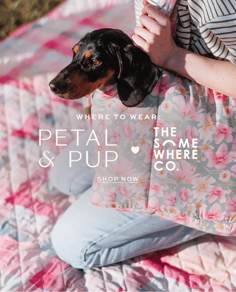 Shop Petal & Pup x The Somewhere Co.
