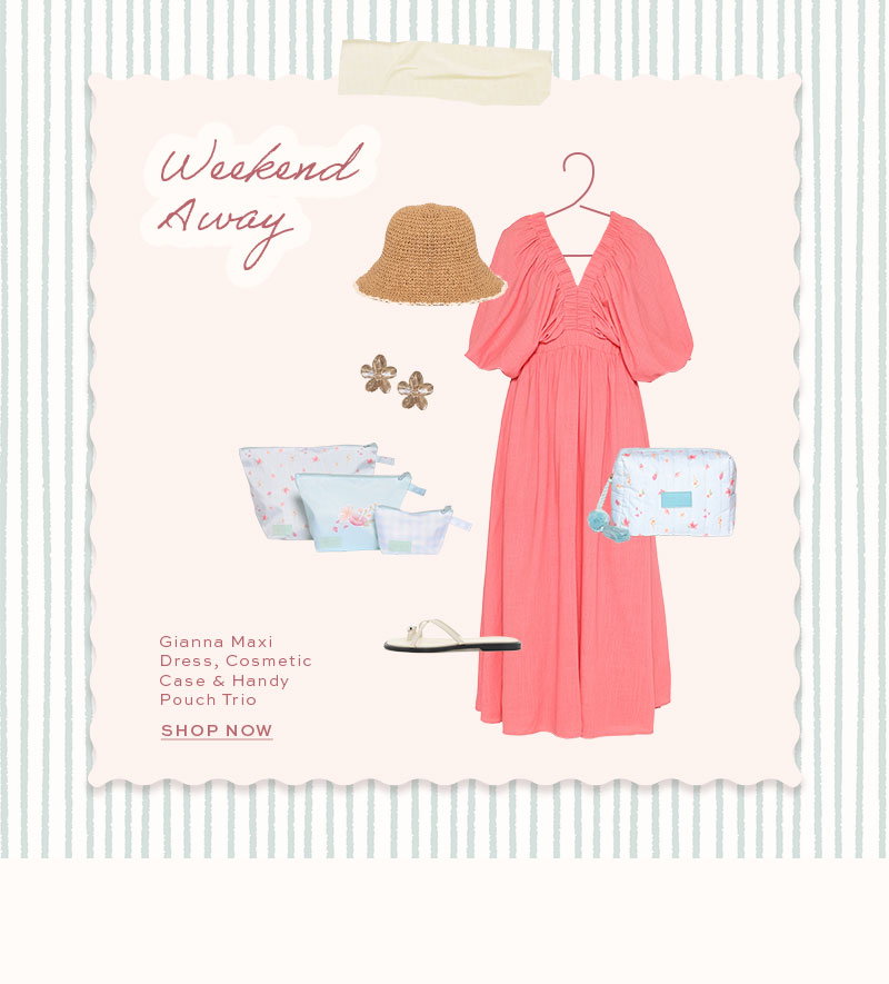 Handy Pouch Trio- Blue Garden Stripe