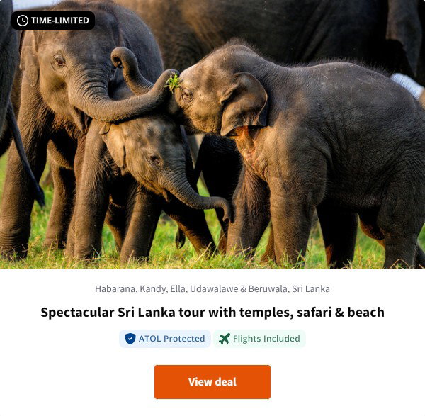 Spectacular Sri Lanka tour with temples, safari & beach