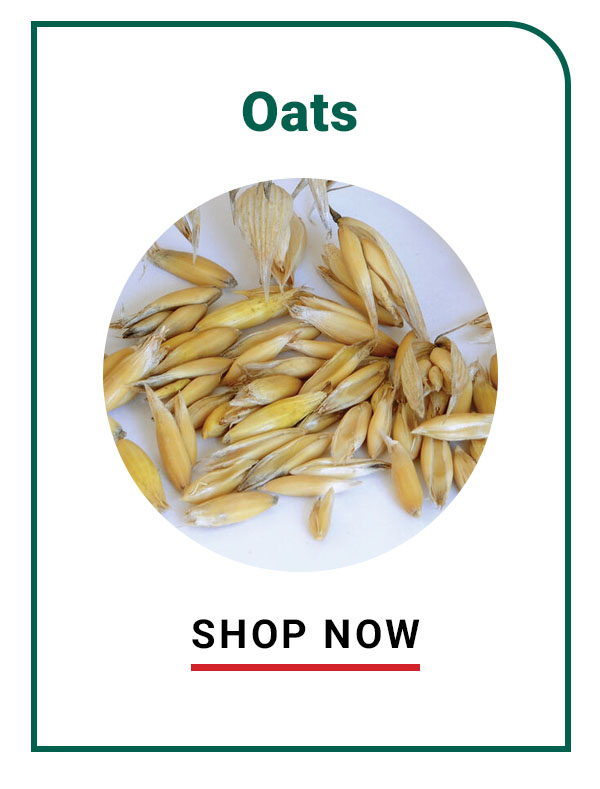 Oats