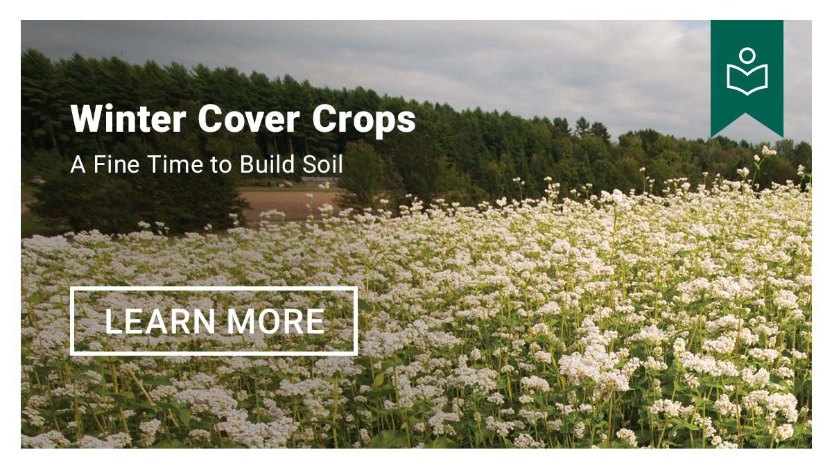 Winter Cover Crops - Learn More