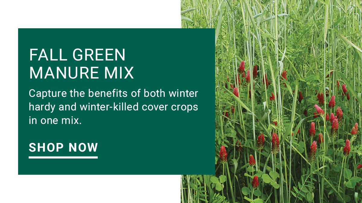 Fall Green Manure Mix
