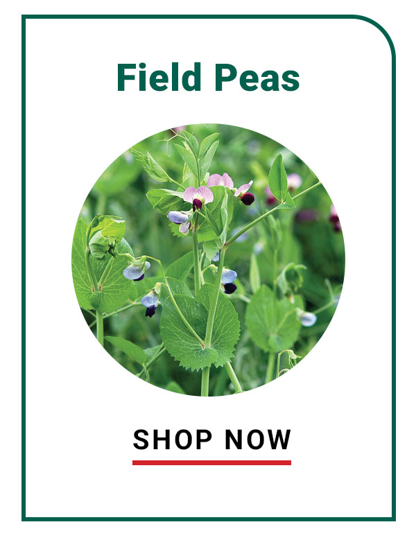Field Peas