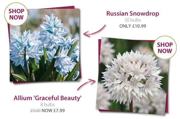 More offers