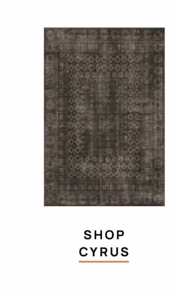 [[SHOP CYRUS]]