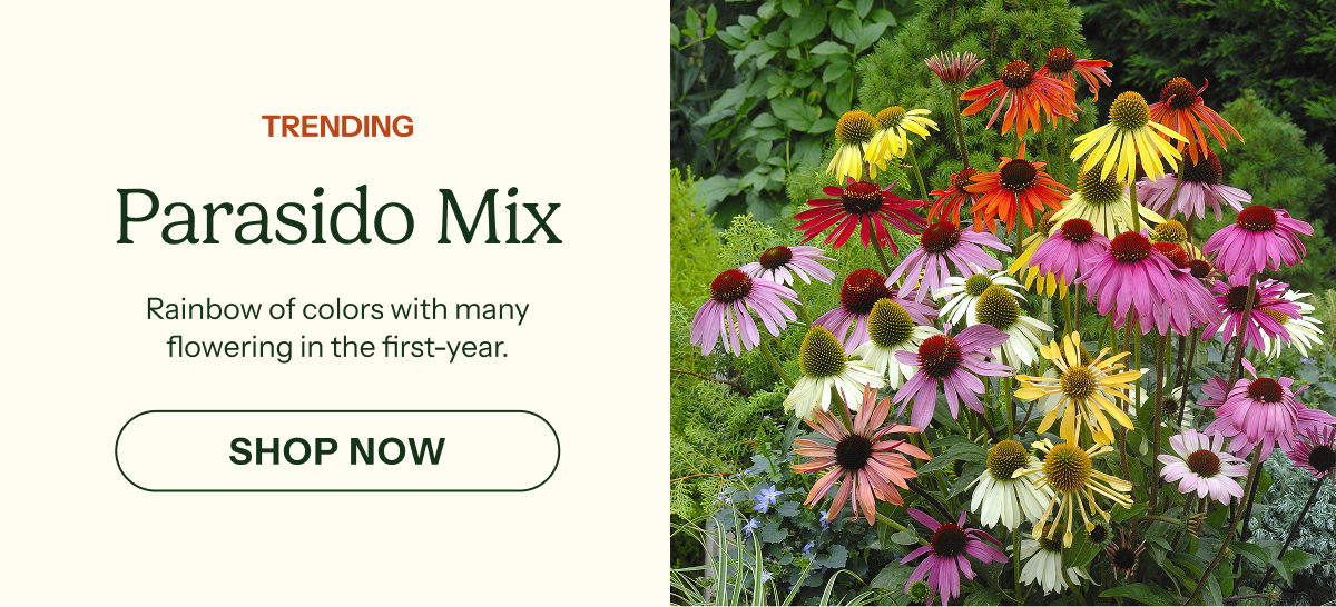 Parasido Mix