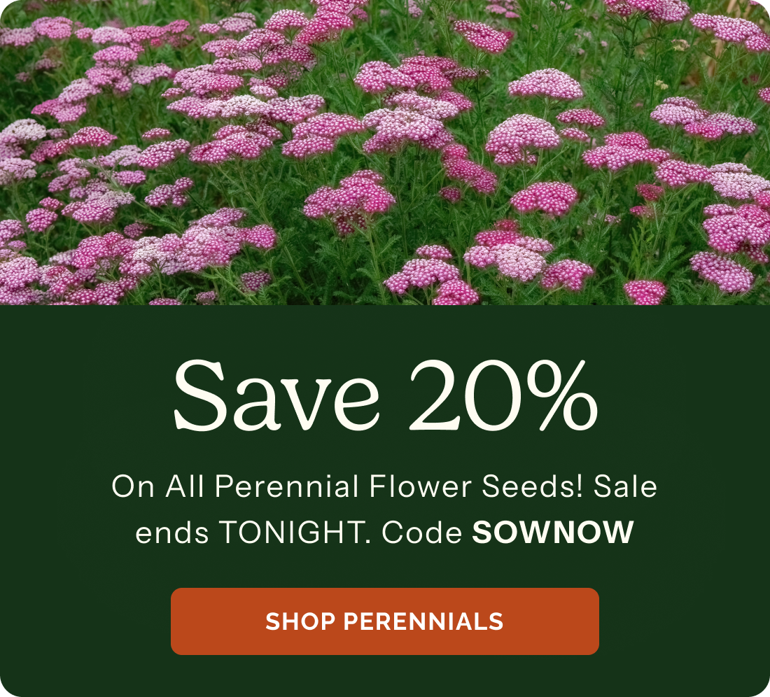 Save 20% On all perennial flower seeds! Sale ends TONIGHT. Code SOWNOW