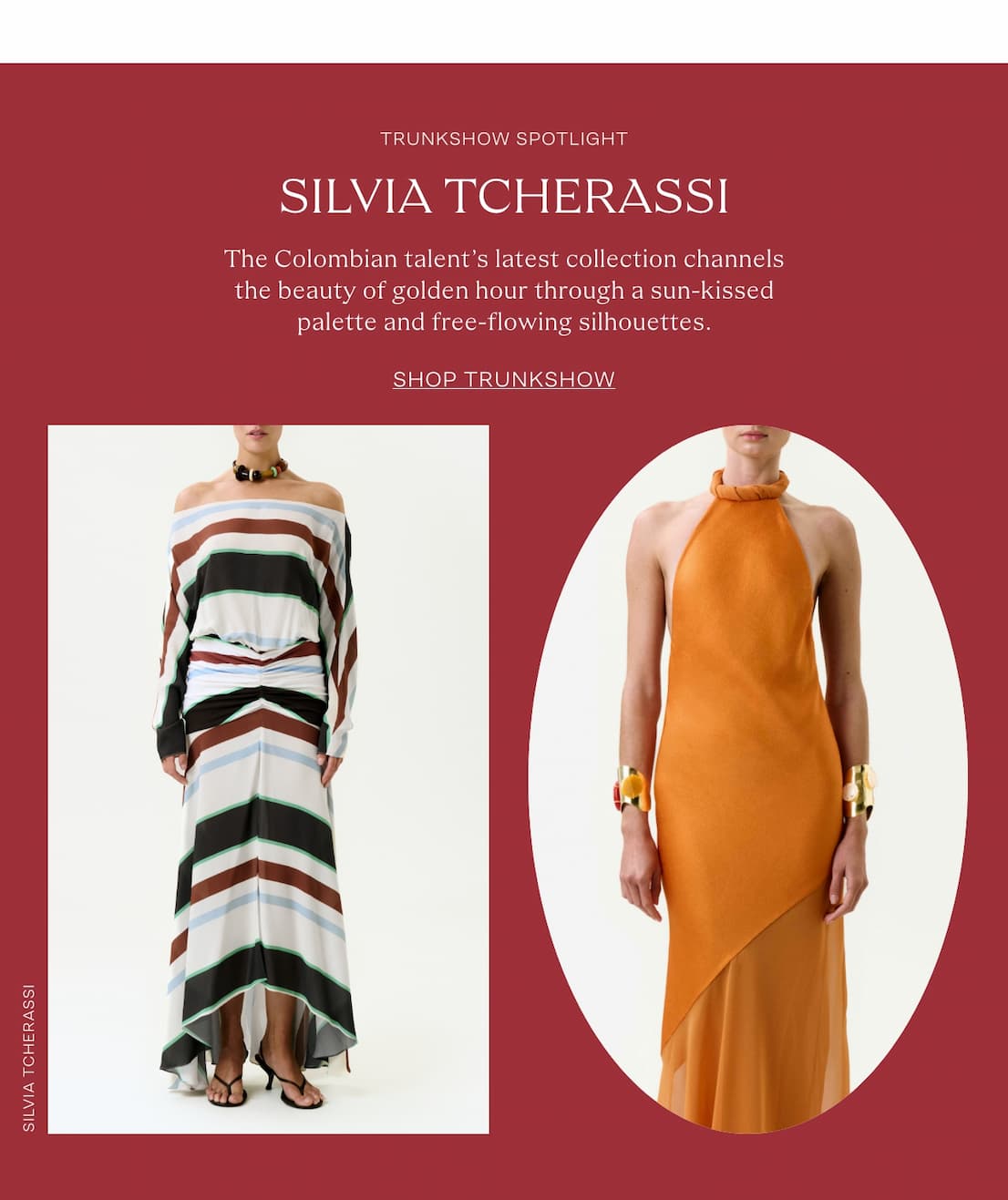 silviatcherassi-r27_gif