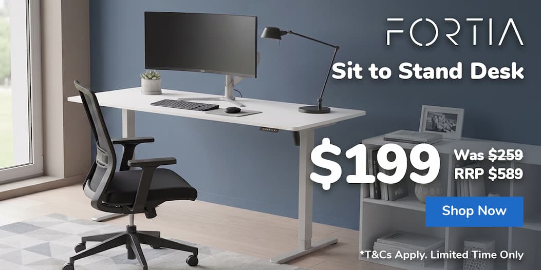 Sit to Stand Desk