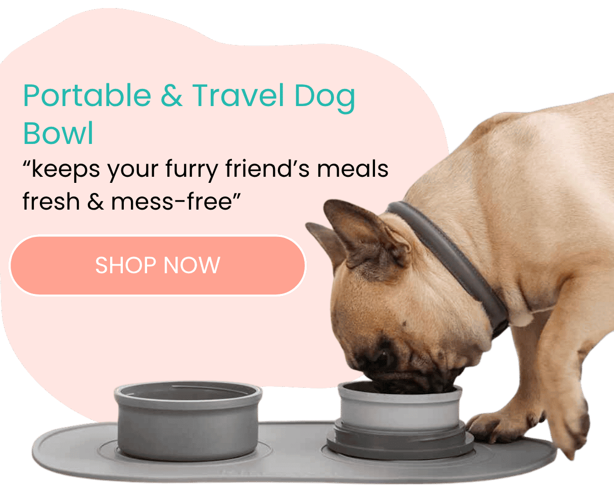 Portable & Travel Dog Bowl