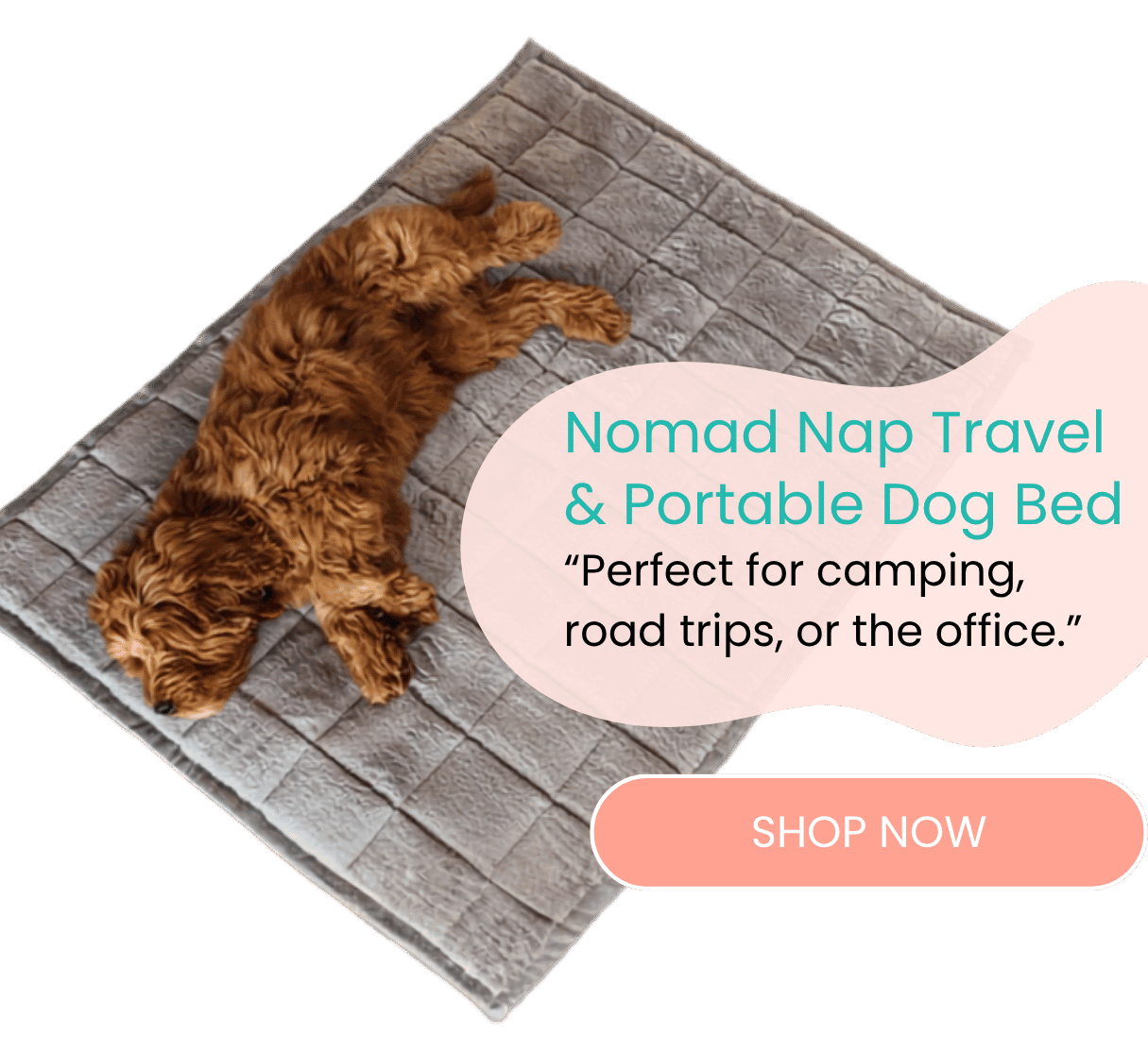 Nomad Nap Travel & Portable Dog Bed