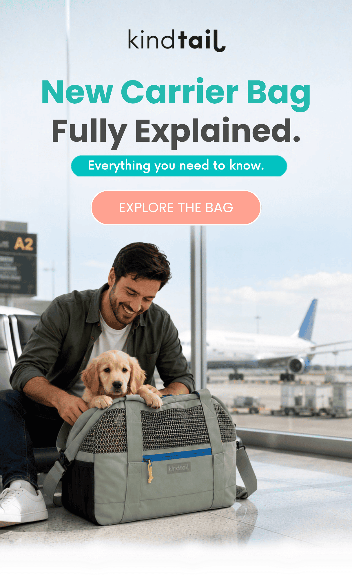 New Carrier Bag - Fully Explained.