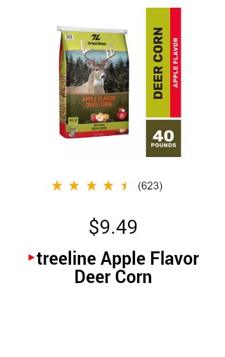 Display images to show real-time content