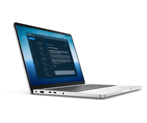 Dell Pro 14