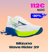 Mizuno Wave Rider 29