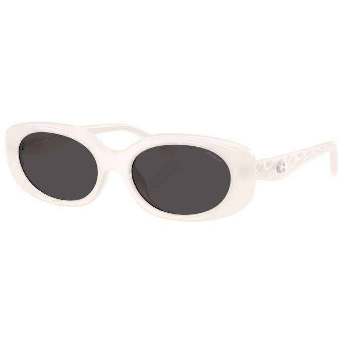 Coach Women's Sunglasses HC8443D-579087-54