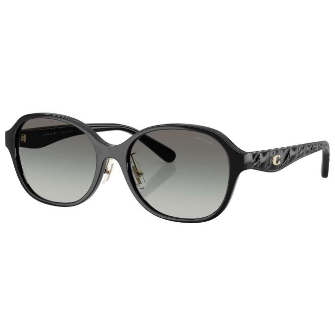 Coach Women's Sunglasses HC8445D-500211-56
