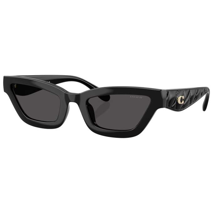 Coach Women's Sunglasses HC8420U-500287-55