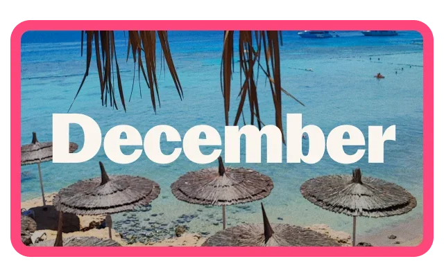 Tropical beach scene with several thatched parasols overlooking clear turquoise water. Palm fronds hang from the top of the image, framing the view of the shoreline and shallow sea. A boat is visible in the distance, and a few people can be seen in the water. Large white text reading 'December' is centered across the image, which is surrounded by a bright pink border.
