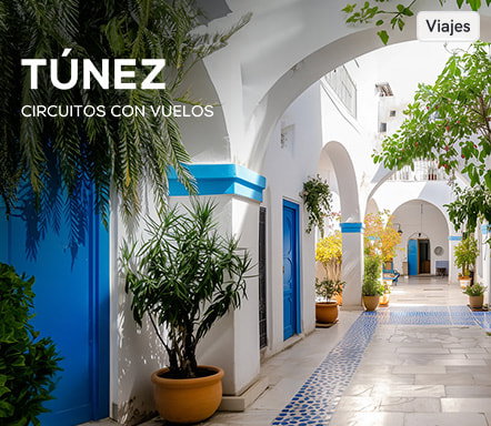 Túnez: Circuitos + Vuelos