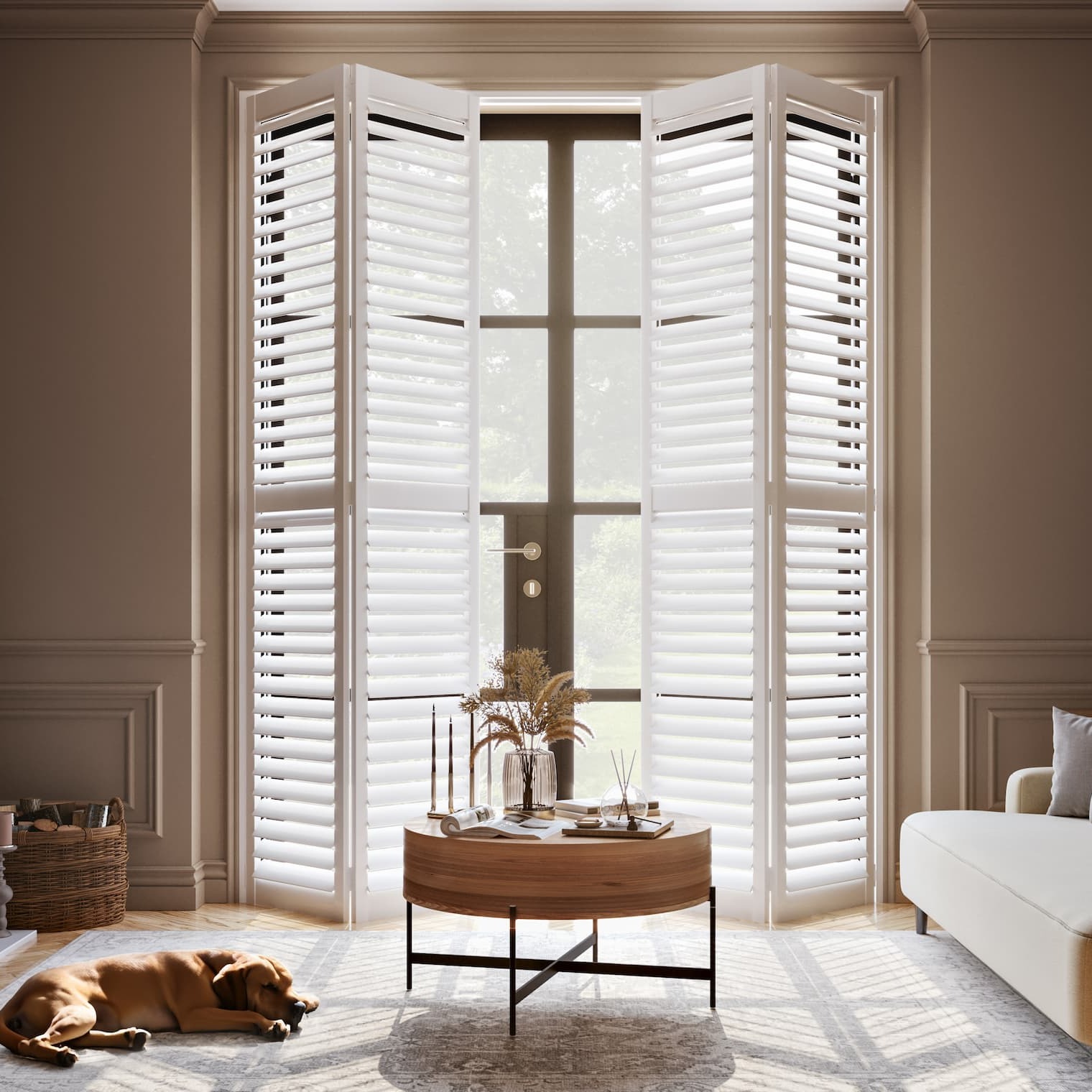 Shop Shutters