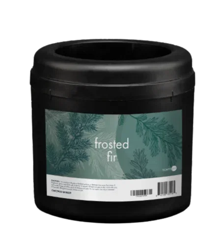 Shop Frosted Fir