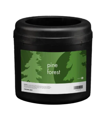 Shop Pine Forest