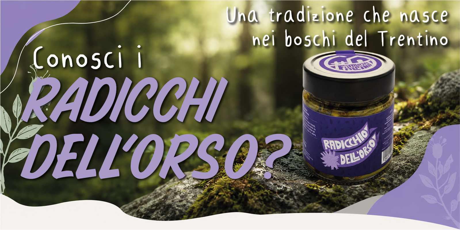 radicchio dell'orso