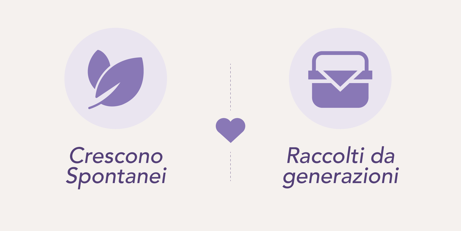 scopri i prodotti