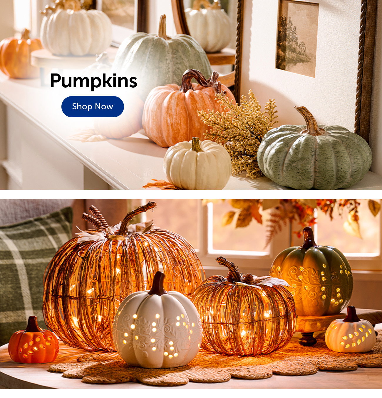 Shop Pumpkins