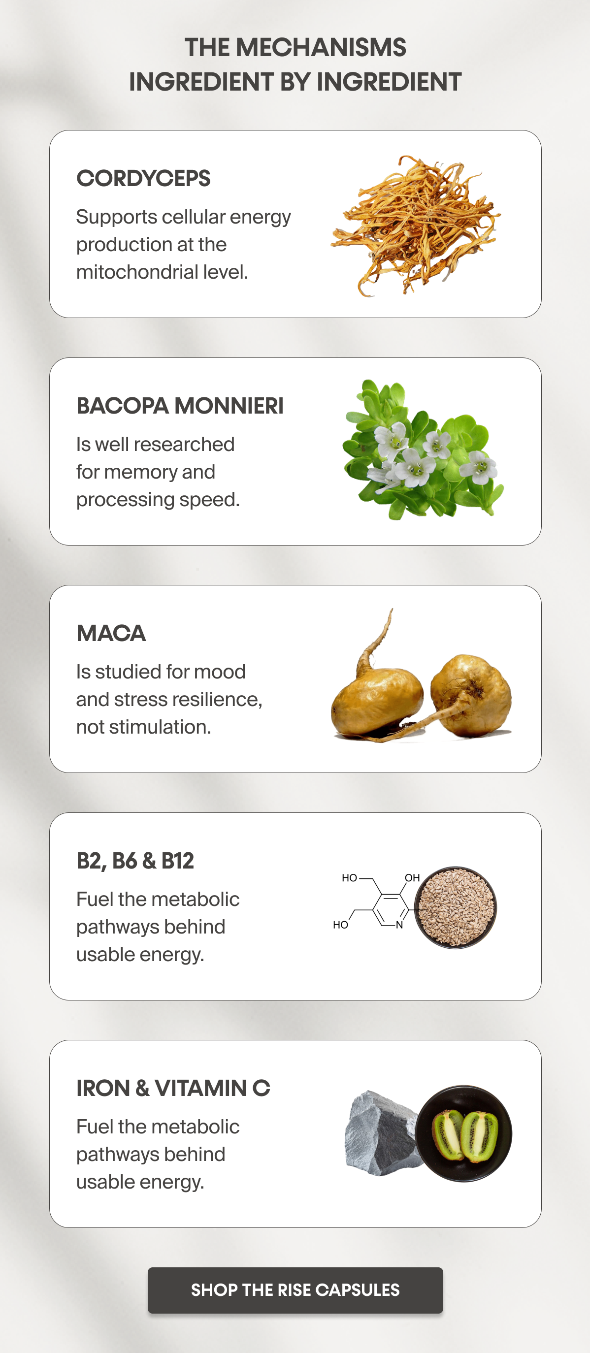The Mechanisms Ingredient By Ingredient