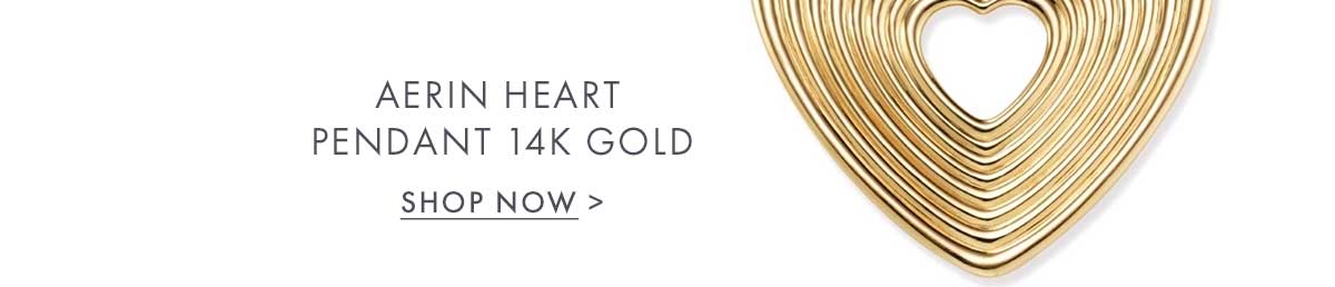Aerin Heart Pendant 14k Gold, 40mm