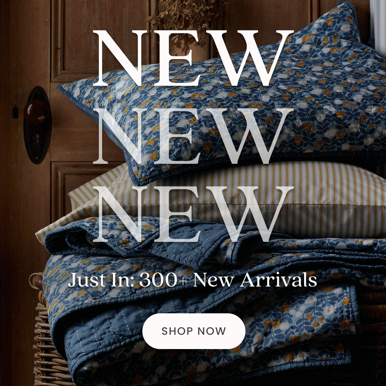 Just In: Fall Arrivals