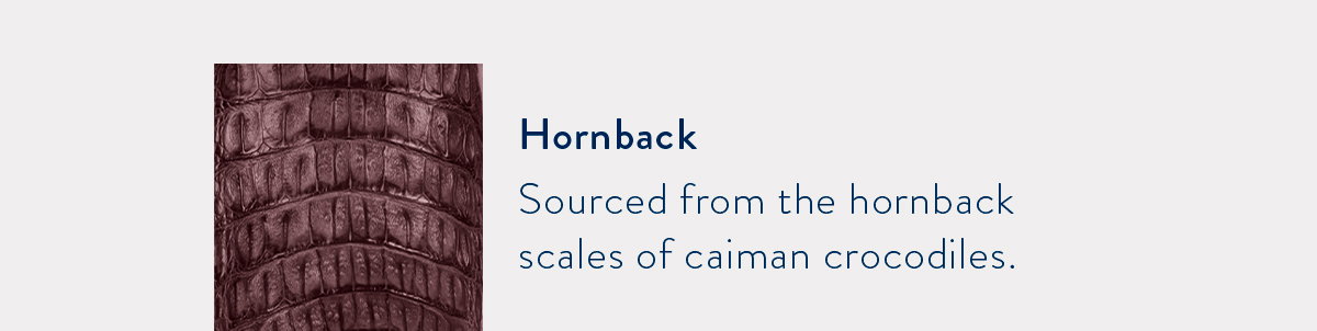 Caiman Boots