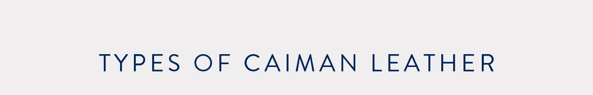 Caiman Boots