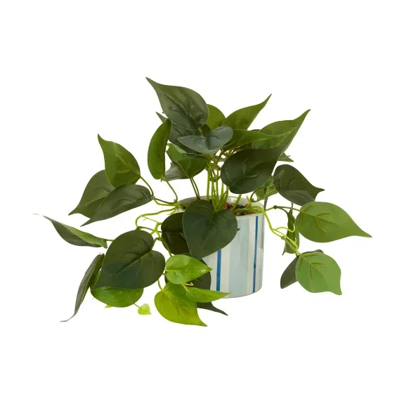 Pothos in stripe pot $6.50