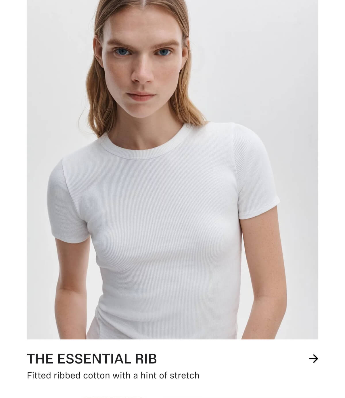 Shop The Essential Rib