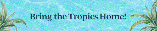 Bring the Tropics Home!