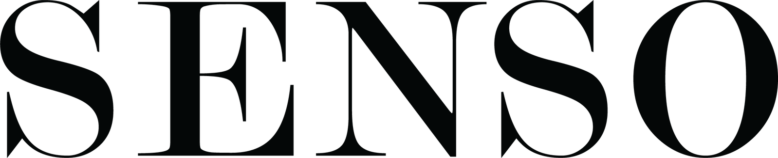 SENSO LOGO
