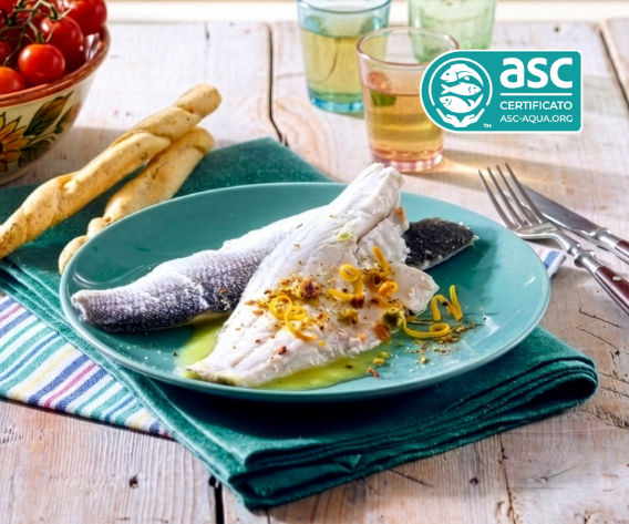Filetti di Branzino