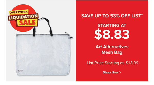 Art Alternatives Mesh Bag