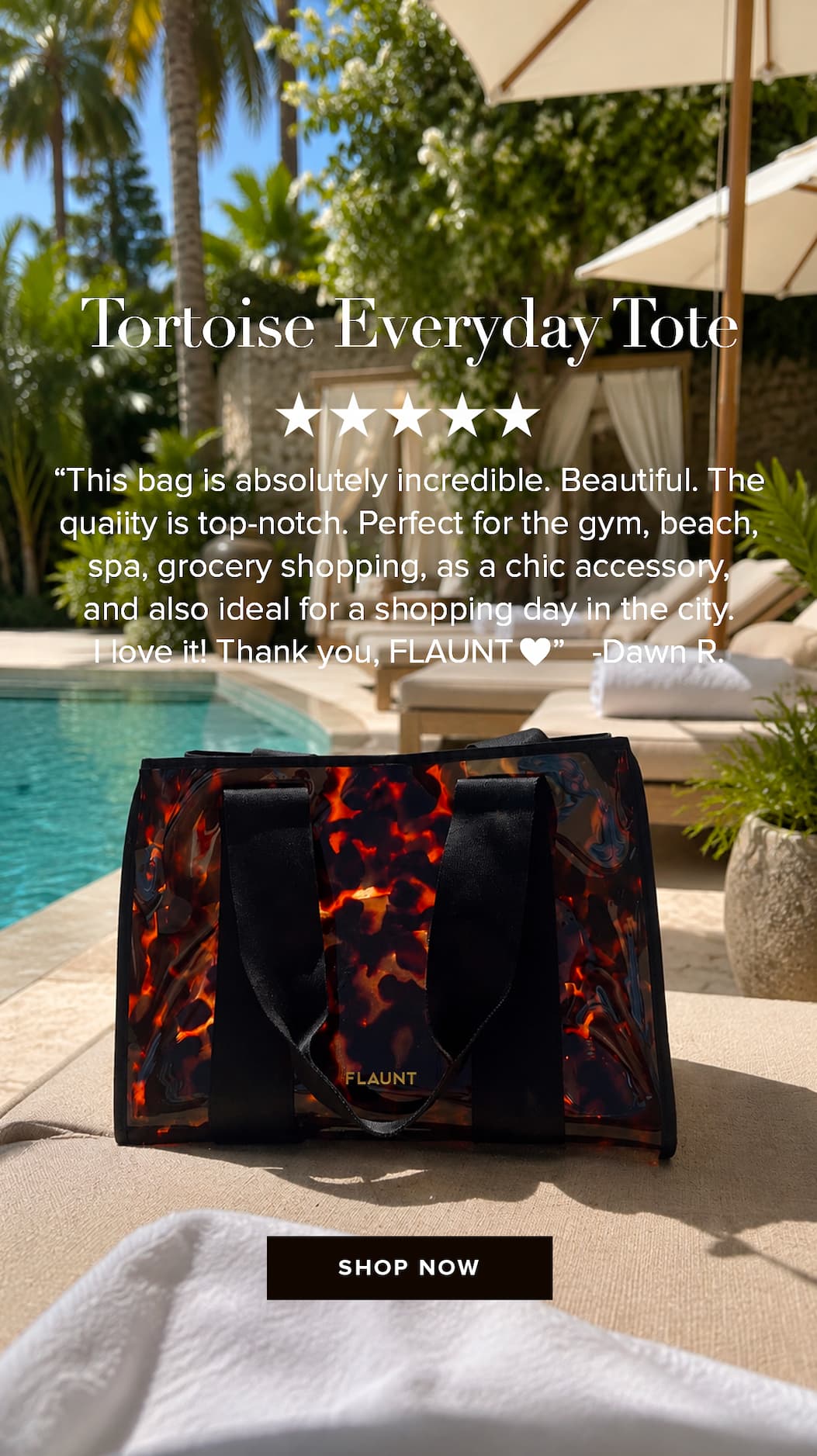 Tortoise Tote
