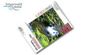 Image Article