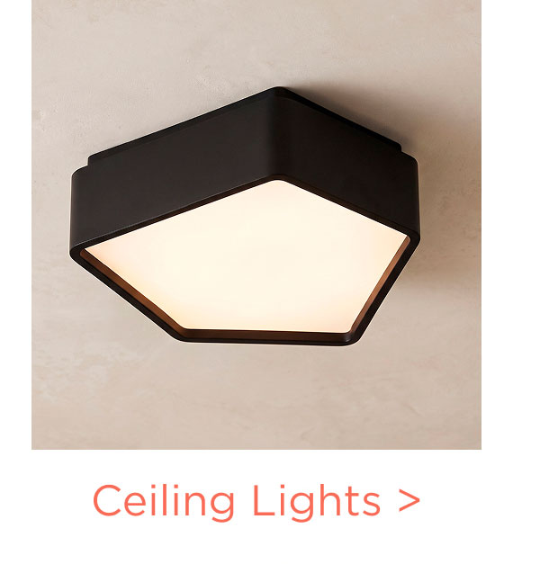 Ceiling Lights >