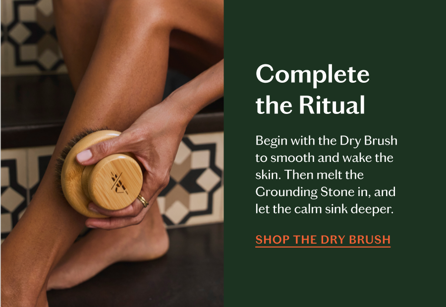 Shop The Dry Brush