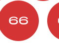 66
