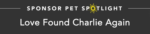 Sponsor Pet Charlie