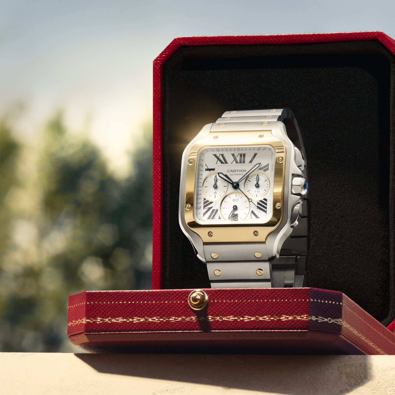 Watches